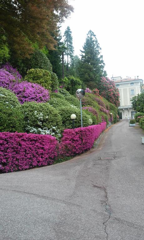 Residenza Del Pascia - Appartamento Camphora ออกเจบบิโอ ห้อง รูปภาพ